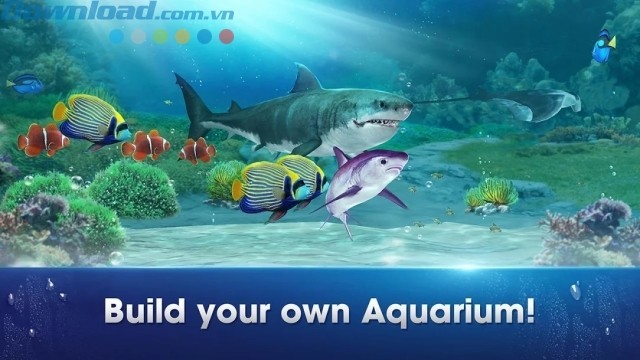 Thiết kế bể cá độc đáo của bạn