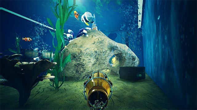 Mua cá giống, lai ghép và tạo ra giống cá độc đáo