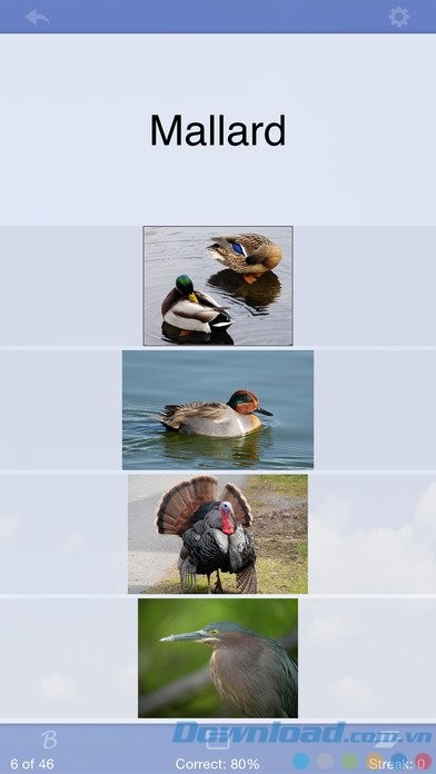 Hình ảnh minh họa