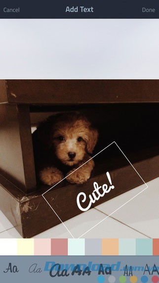 Chèn chữ vào ảnh