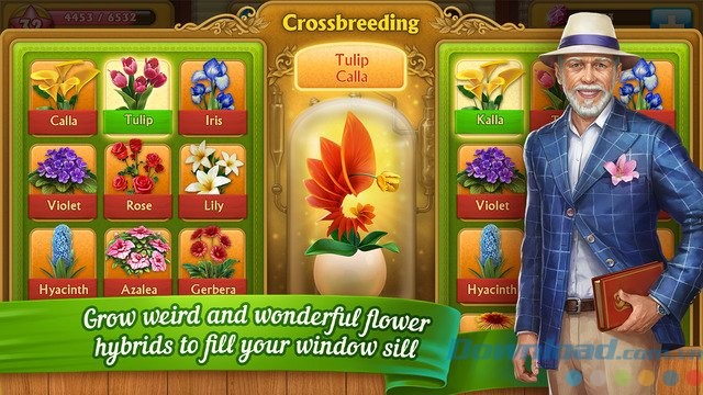 Lai ghép giống hoa mới