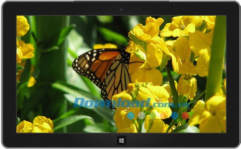 Flowers and Foliage theme