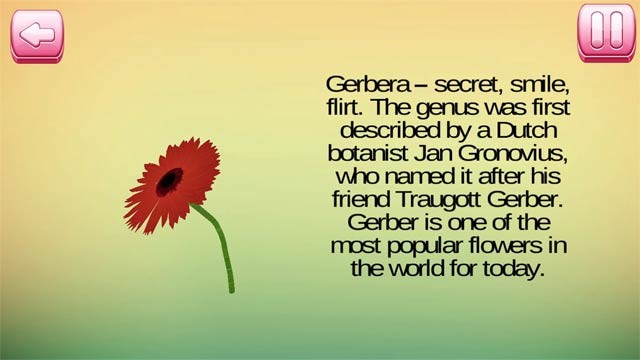 Kết hợp các loài hoa với nhau trong 1 bó hoa xinh