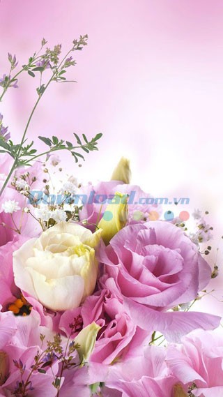 Bộ hình nền hoa sống động