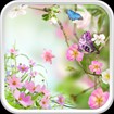 Flowers Live Wallpaper - Hình nền hoa động đẹp cho Android