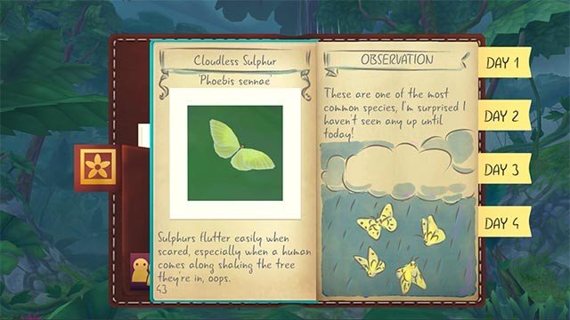 Ghi chép lại thông tin về loài bướm và nhiều sinh vật khác mà bạn bắt gặp trong Flutter Away game