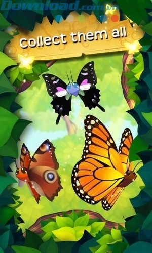 Thu thập các loài bướm đặc biệt