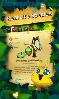 Tìm hiểu về chu kỳ vòng đời của loài bướm