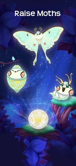 Nuôi bướm và chứng kiến quá trình phát triển của chúng