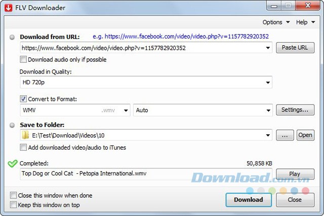 FLV Downloader