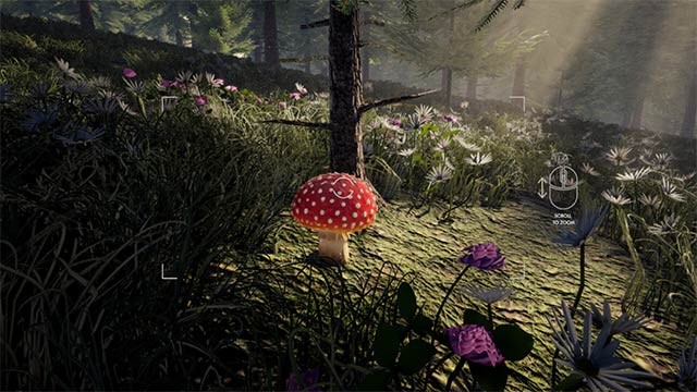 Forager's Finds là game mô phỏng hái nấm thư giãn trong khu rừng rộng lớn