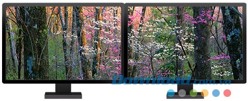 Forests panoramic theme