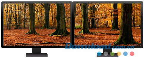 Forests panoramic theme