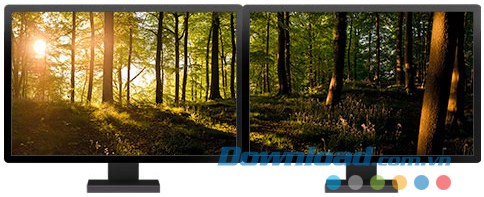 Forests panoramic theme