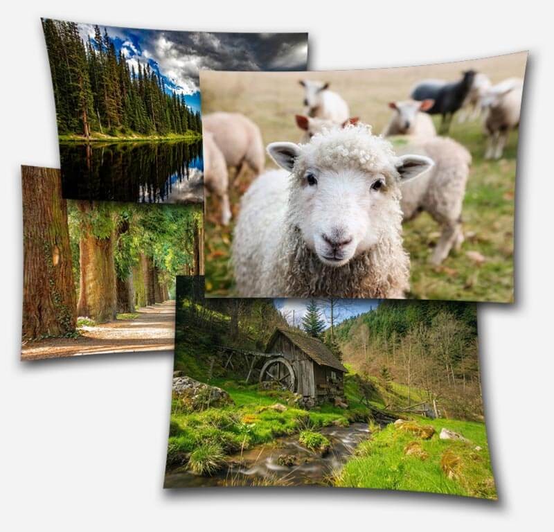 FotoFlexer dễ sử dụng