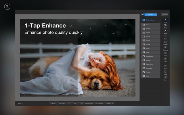 Fotor giúp tạo ra những bức ảnh chất lượng cao và chi tiết