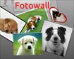 Fotowall 0.9: Công cụ sắp xếp ảnh hiệu quả
