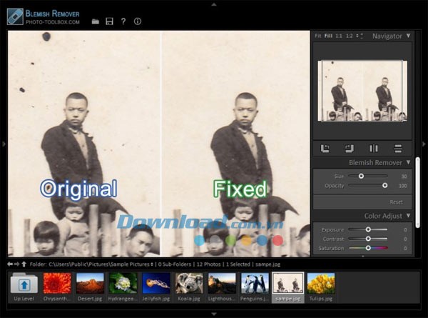 Free Photo Blemish Remover