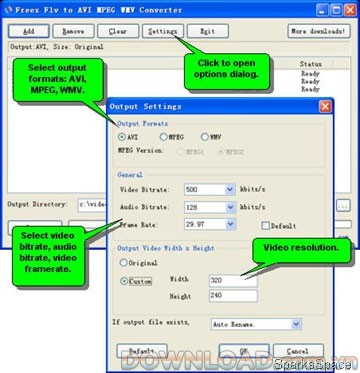 Freez Flv to AVI/MPEG/WMV Converter