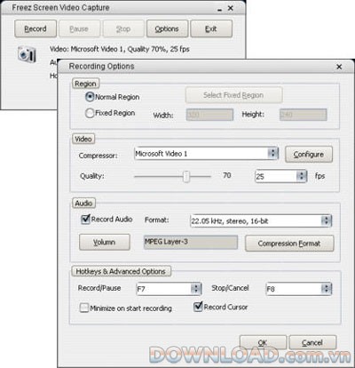 Freez Screen Video Capture