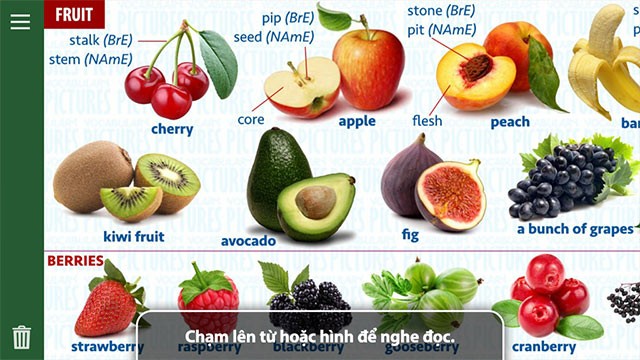 Chạm lên từ để nghe phát âm