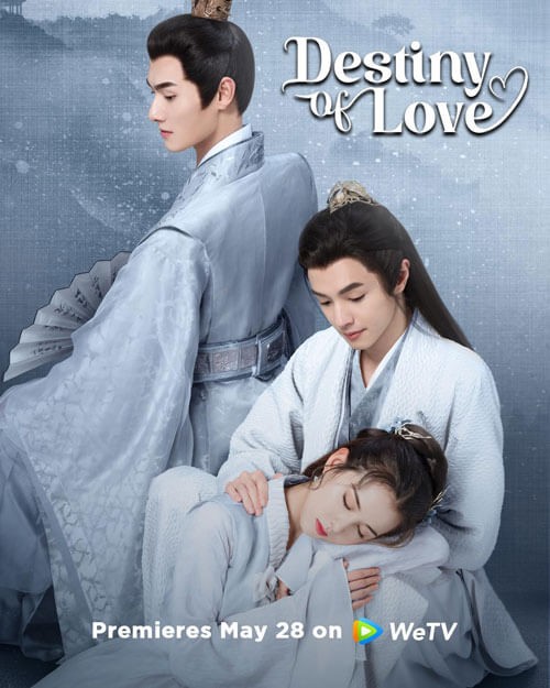 Poster phim Gả nhầm thế tử