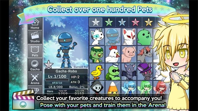 Thu thập hàng trăm loài thú cưng khác nhau