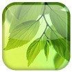 Galaxy S4 Leaf Live Wallpaper - Download for Android