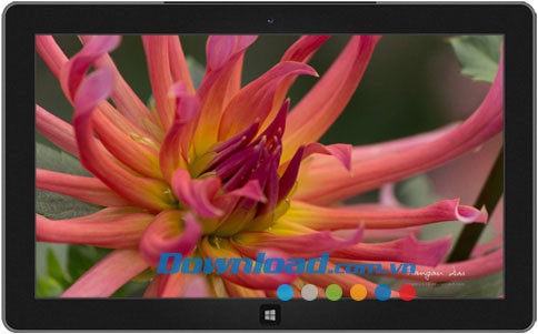 Garden Glimpses 3 theme