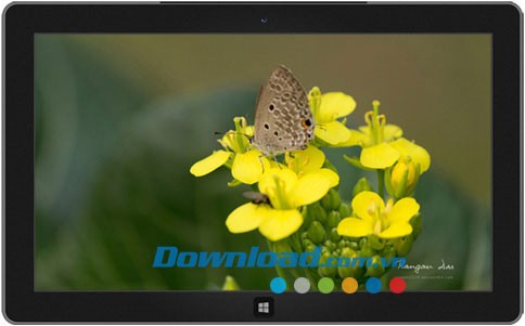 Garden Glimpses 3 theme