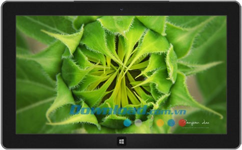 Garden Glimpses theme