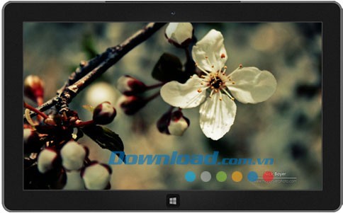 Garden Seasons theme