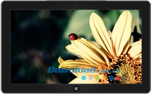 Garden Seasons theme