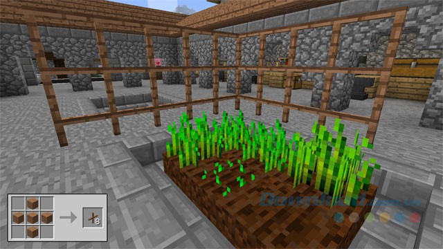 Sắp xếp vườn hoa 1 cách khoa học