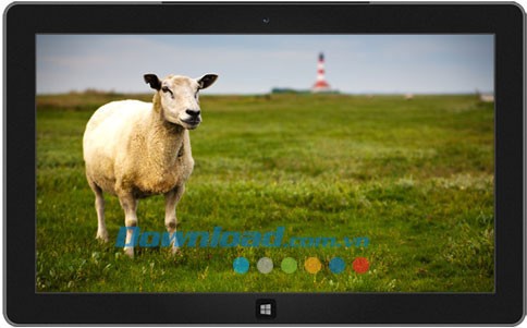 Germany: Mountains to Sea theme