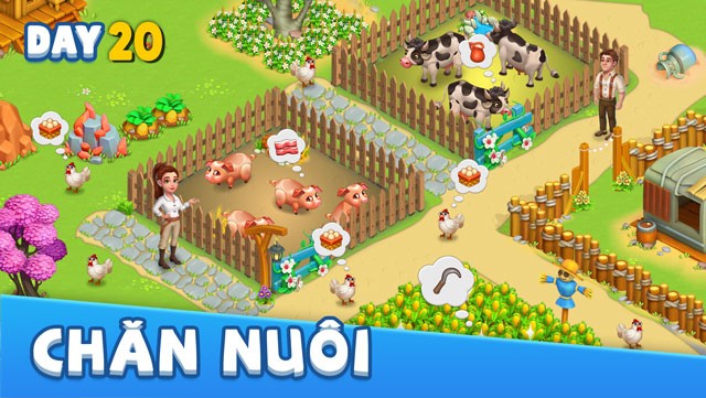 Chăm sóc gia súc: cừu, gà, thậm chí dê và cá koi hoang dã