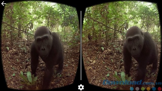 Sử dụng cúng kính Cardboard