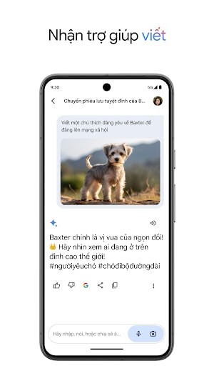 Hỗ trợ soạn thảo và thực hiện nhiều tác vụ khác một cách hiệu quả