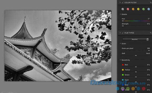 Các lựa chọn tùy chỉnh