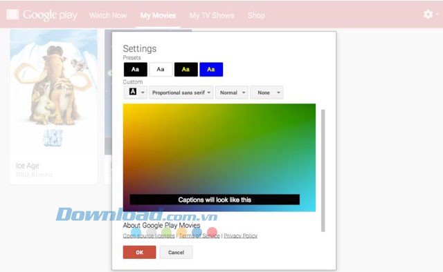 Tùy chỉnh phụ đề