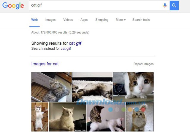 Tìm kiếm hình ảnh động về mèo