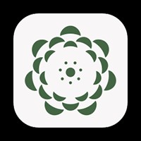 GPT4All: Chatbot AI Miễn Phí, Bảo Mật, Cục Bộ