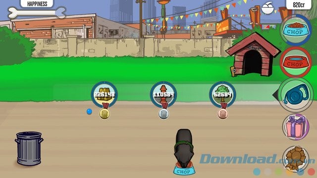 Chăm sóc thú cưng