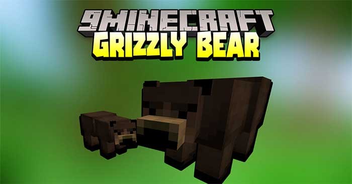 Grizzly Bear Mod 1.17.1 sẽ thêm loài Gấu xám Bắc Mỹ (Grizzly Bear) vào Minecraft