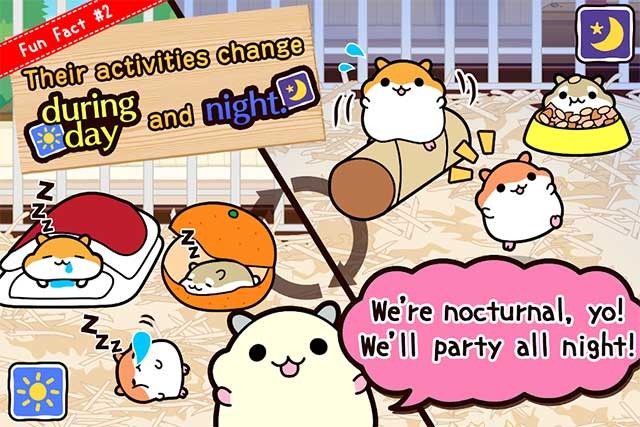 Xem những chú Hamster tương tác với nhau trong Hamster Collection for Android