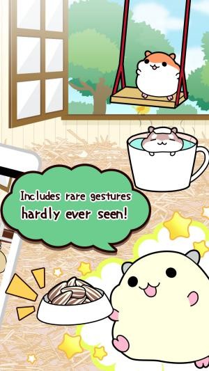 Bày đồ ăn và đồ chơi để dụ chuột