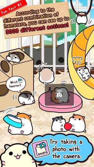 Nhiều hoạt động hấp dẫn, đáng yêu