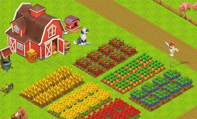 Chăm sóc thú cưng và chăn nuôi nông trại