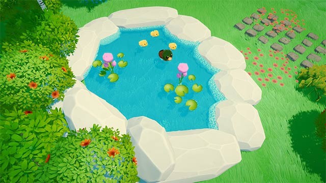 Chăm sóc và chơi đùa cùng đàn chó để những người bạn bốn chân luôn vui vẻ, khỏe mạnh