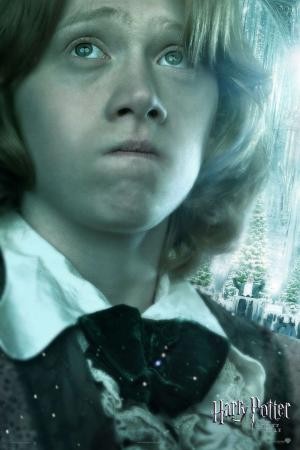 mini Harry Potter and the Goblet of Fire 18